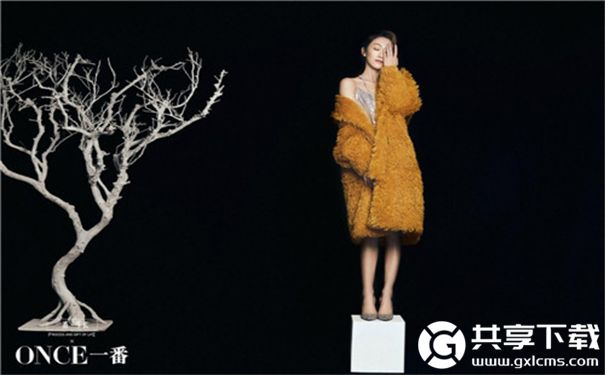 芒果草莓茄子丝瓜黄瓜2