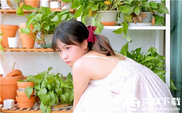 榴莲芭乐站长统计2019年