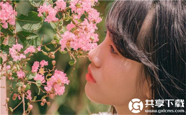 在线观看草莓视频mv的免费网站