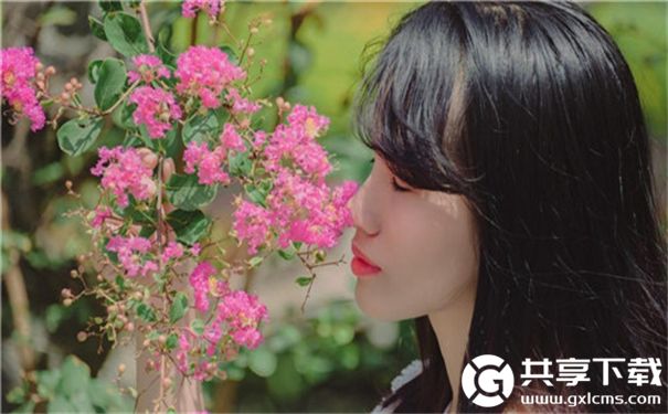 在线观看草莓视频mv的免费网站